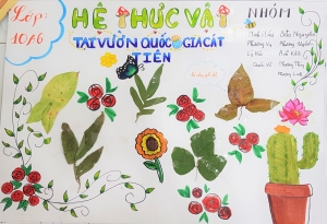 Bài thu hoạch: Tiêu bản Mẫu thực vật tại vườn Quốc gia Cát Tiên